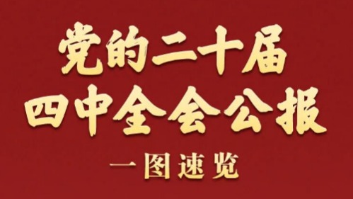 党的二十届四中全会公报一图速览