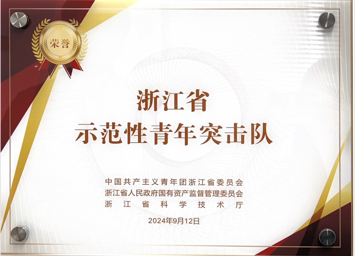 浙江省示范性青年突击队